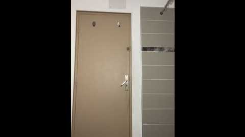 dasilva_elsa21 @ stripchat on 20251113