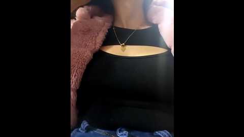 dholce_1 @ stripchat on 20251113