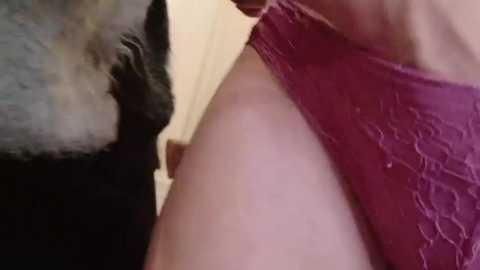 manami_maru @ stripchat on 20251113