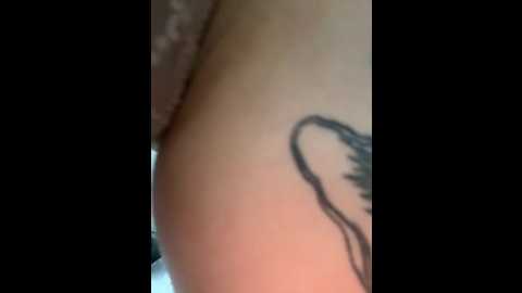 arya_black @ stripchat on 20251114