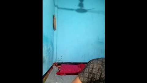 coupleshow_432 @ stripchat on 20251114