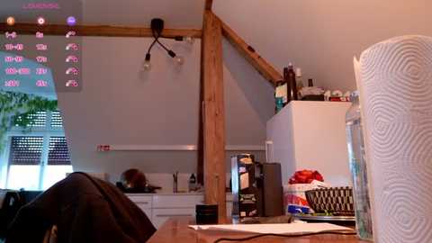 emiliasommer @ stripchat on 20251114