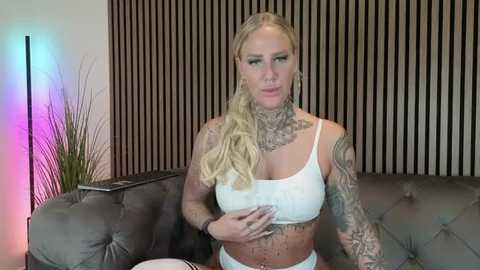 lara_cumkitten @ stripchat on 20251114