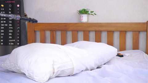 odetteaven @ stripchat on 20251114