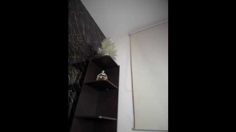 alexandra_duque @ stripchat on 20251116