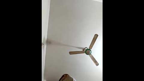 blue_berry07 @ stripchat on 20251116