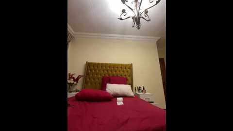 xxxsexyamazon @ stripchat on 20251116