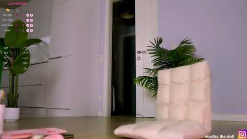 yumeko_midari @ stripchat on 20251116