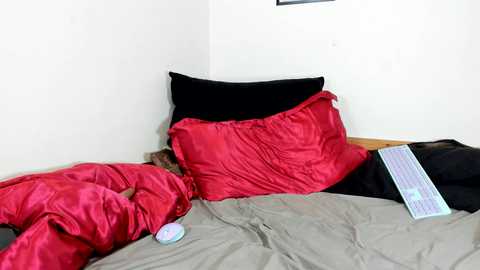 fraumueller @ stripchat on 20251117