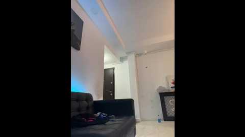 isabellaetthan @ stripchat on 20251117