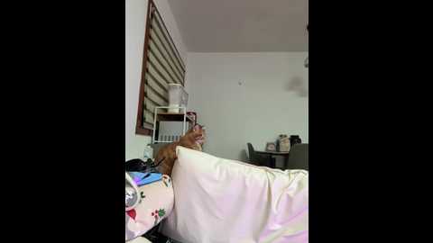 jiajia_l @ stripchat on 20251117